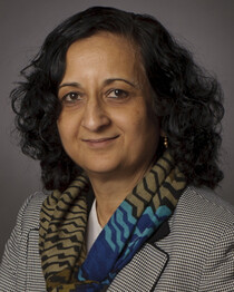 Anuradha Annaswamy photo