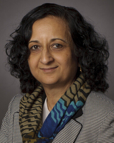 Anuradha Annaswamy photo