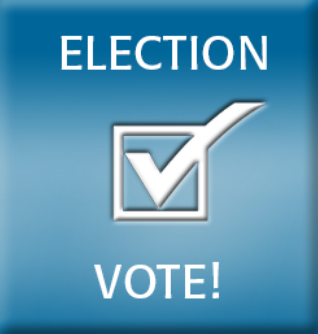 Election Vote image